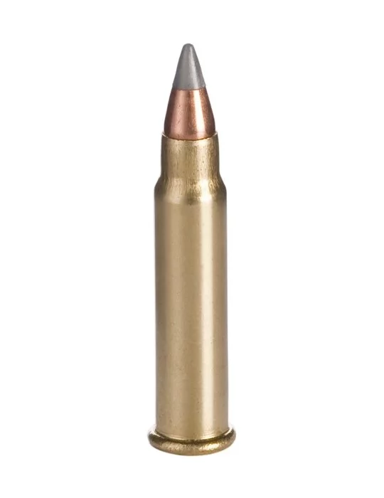 Winchester .17 HMR Varmint HV 17 gr