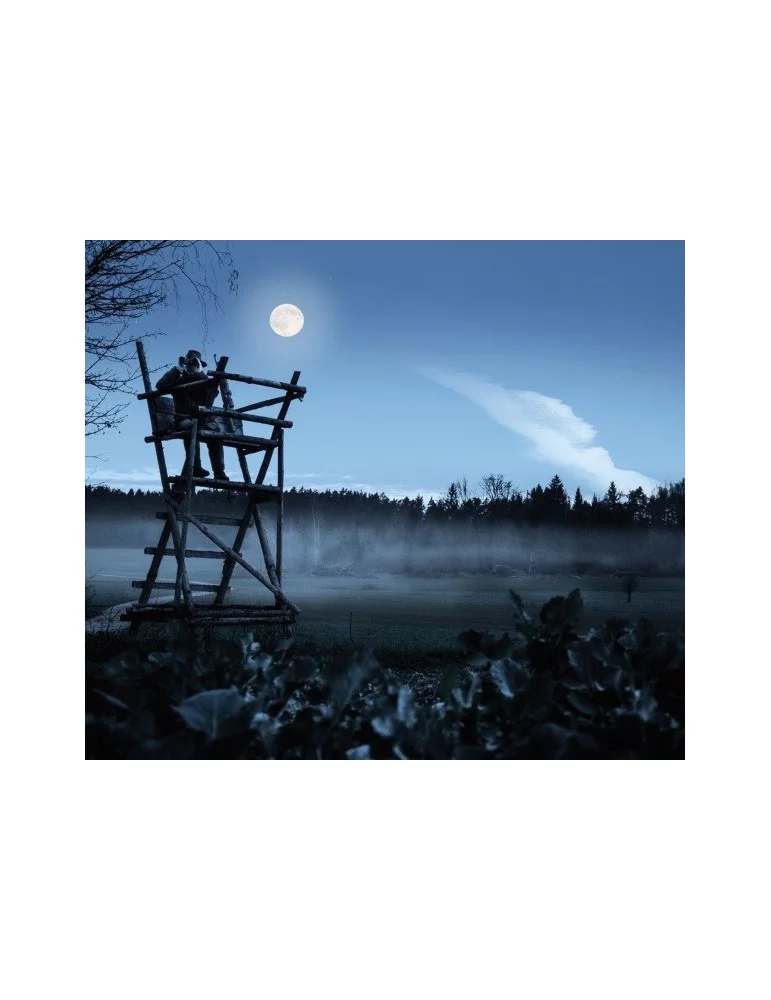 Jumelles de chasse Steiner Nighthunter 8x56