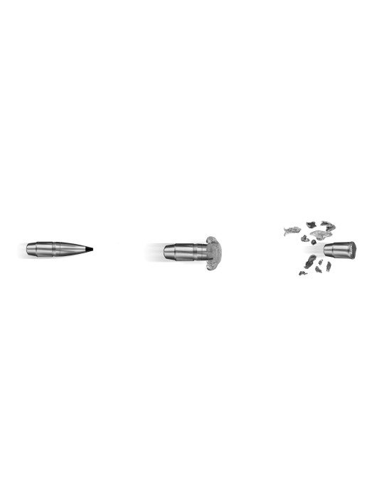 RWS 7 mm Rem. Mag. Speed Tip Pro 150 gr