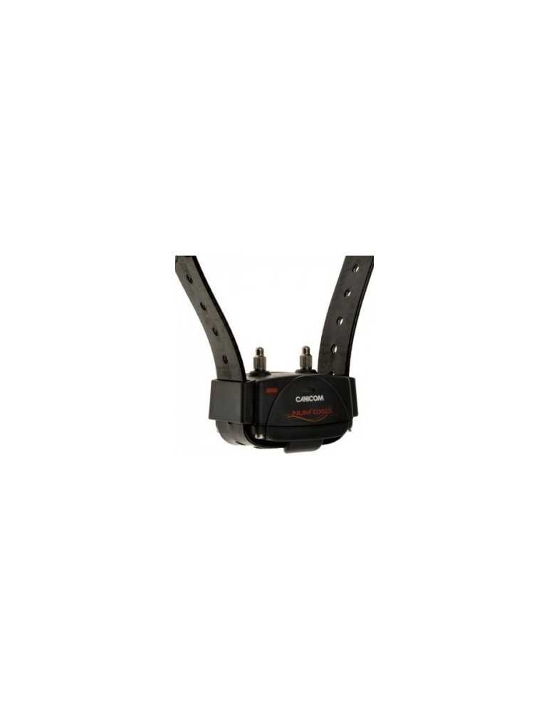 Pack Canicom 200 collier + télécommande