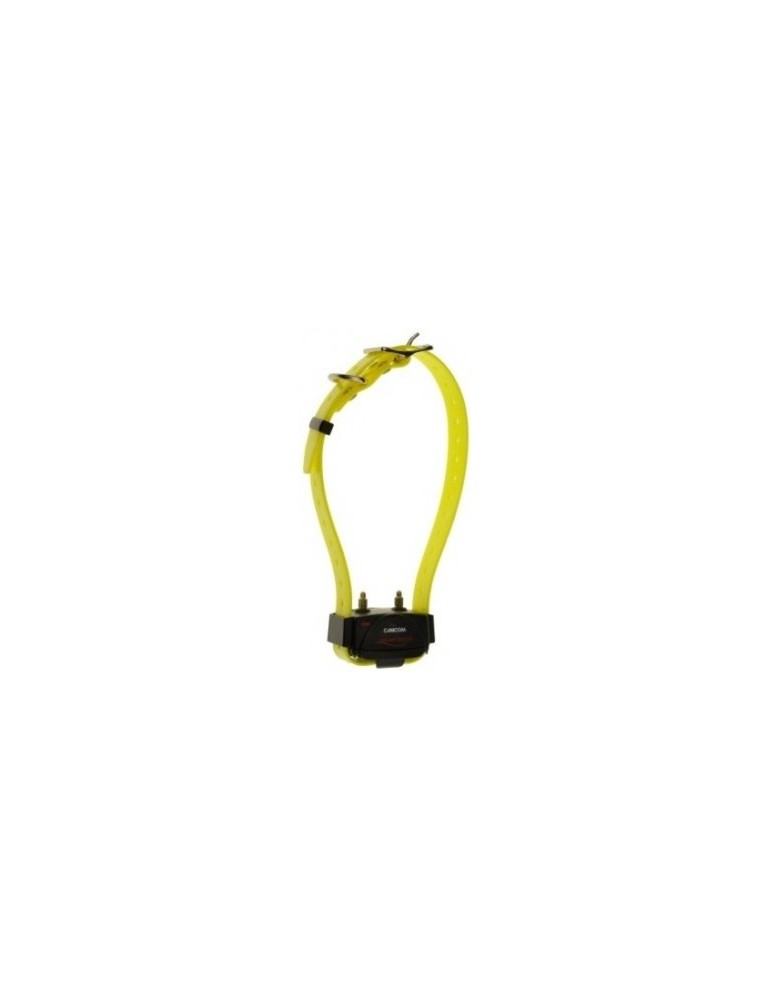 Collier de dressage Canicom supplémentaire