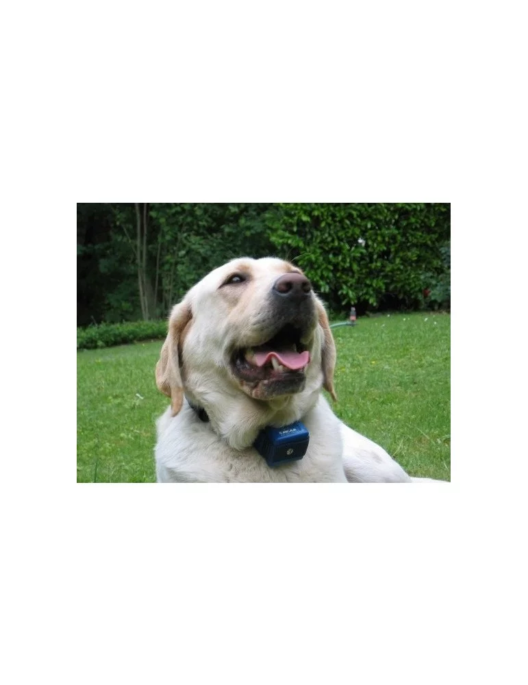 Collier anti aboiement Canicalm