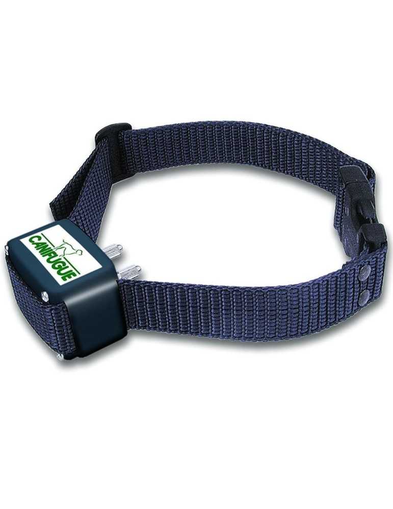 Clotûre invisible Canifugue FUG1030 pack avec un collier