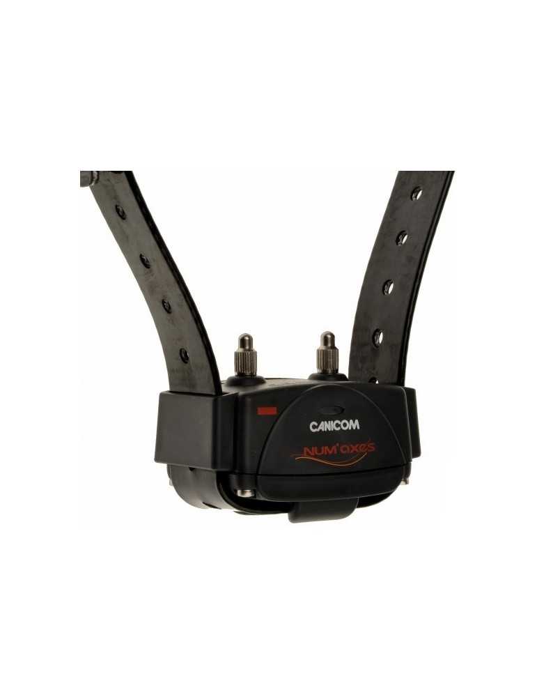 Pack Canicom 1500 Pro collier + télécommande