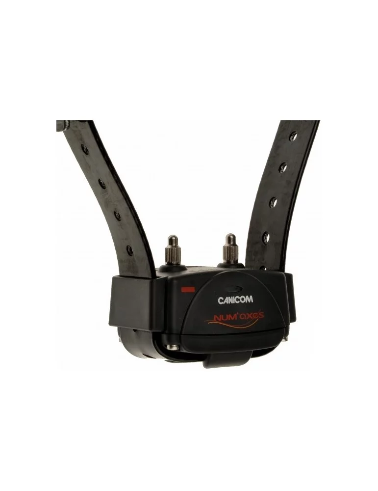 Pack Canicom 1500 Pro collier + télécommande