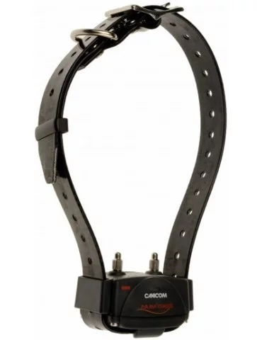Pack Canicom 1500 Pro collier + télécommande 2