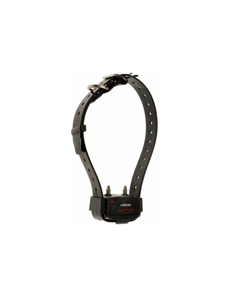 Pack Canicom 1500 Pro collier + télécommande