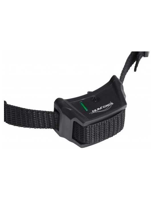 Clotûre invisible Canifugue Mix FUG1033 pack avec un collier