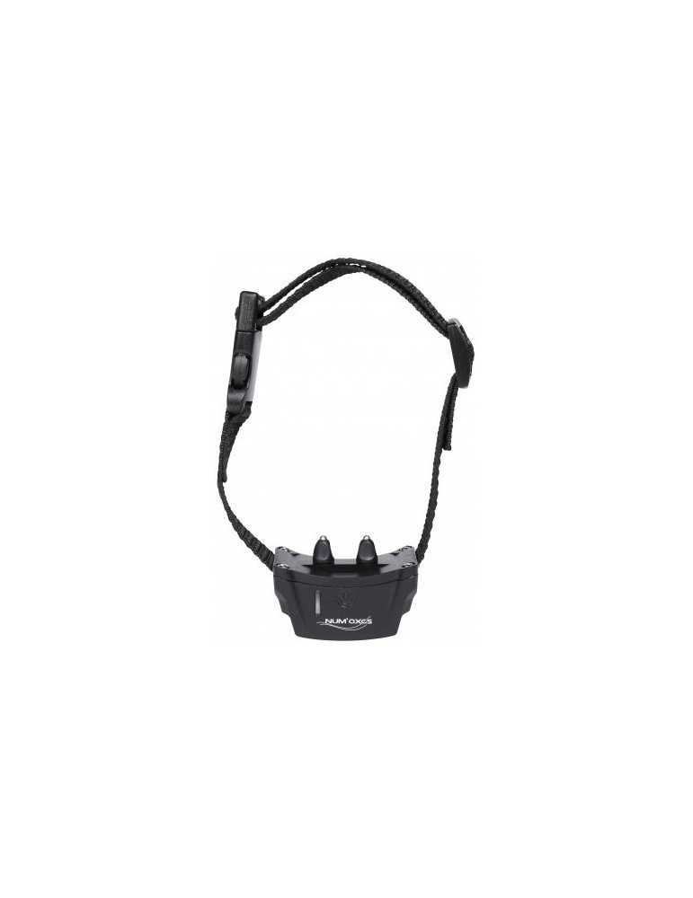 Clotûre invisible Canifugue Mix FUG1033 pack avec un collier