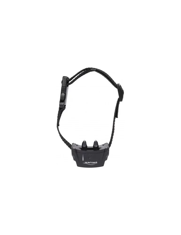 Clotûre invisible Canifugue Mix FUG1033 pack avec un collier