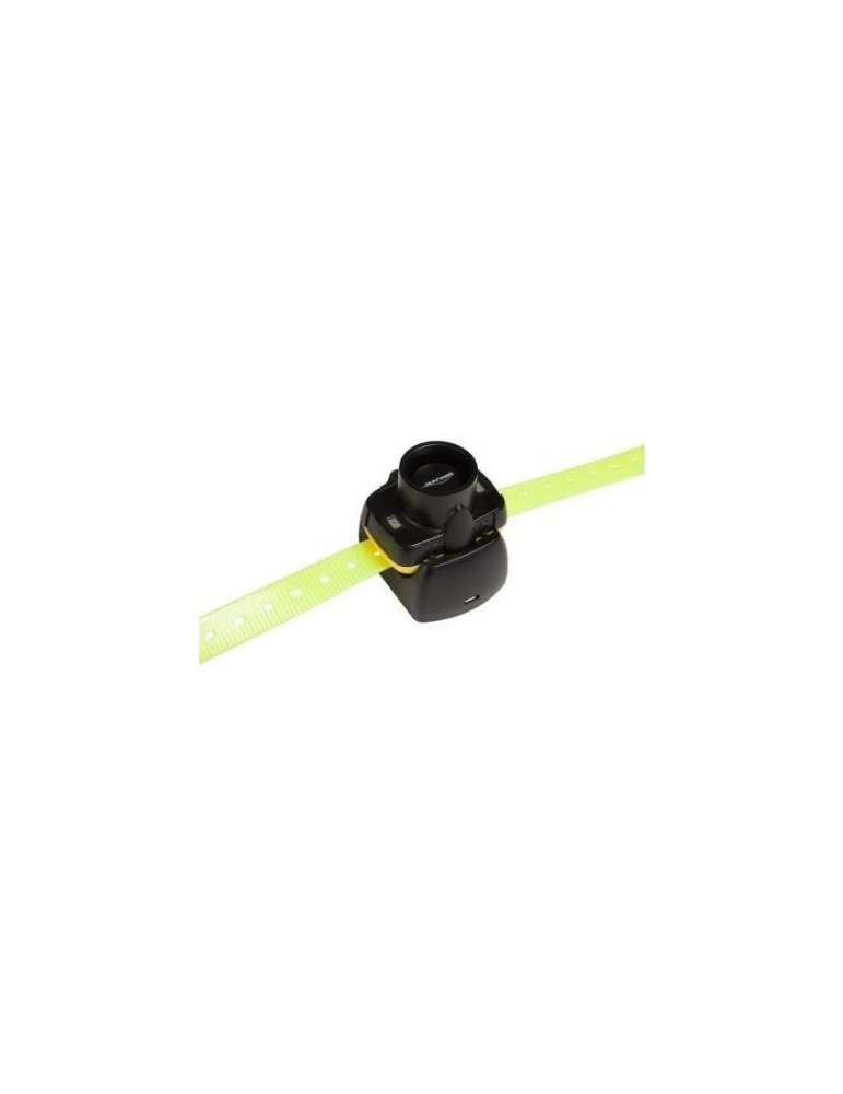Collier de repérage sonore Canibeep 5
