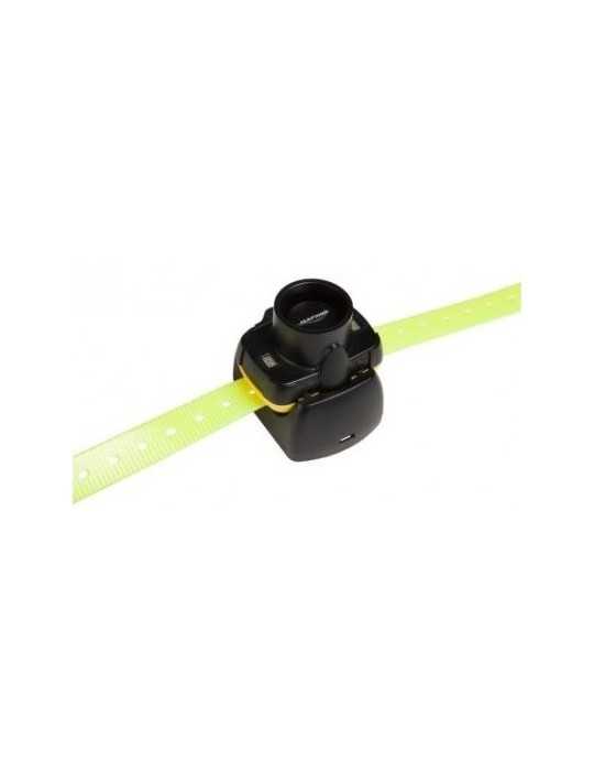 Collier de repérage sonore Canibeep 5