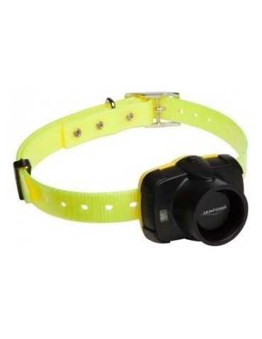 Collier de repérage sonore Canibeep 5
