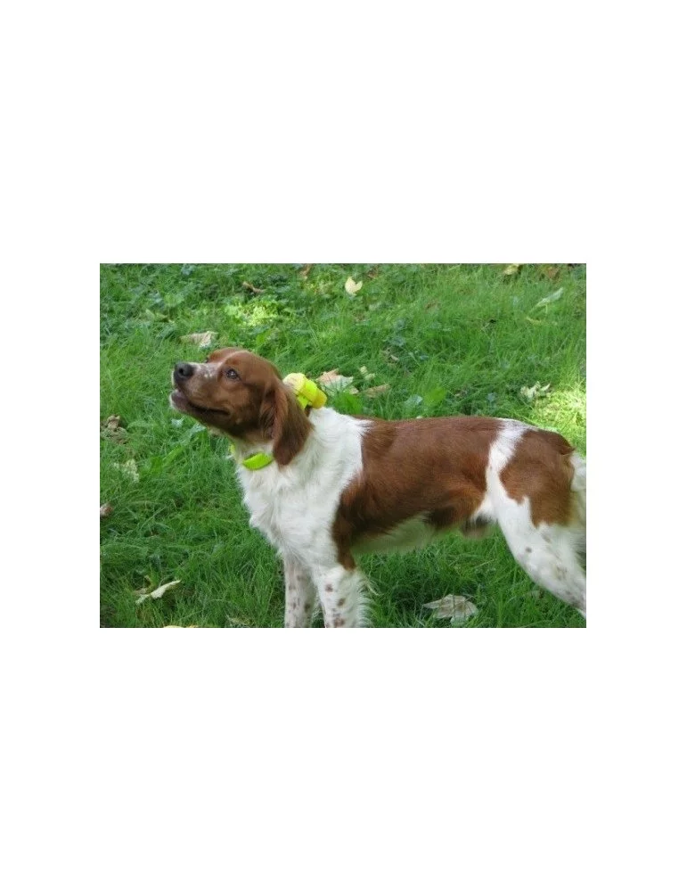 Collier de repérage sonore Canibeep Pro