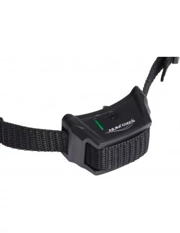 Collier supplémentaire pour Canifugue 2015 clôture invisible 2