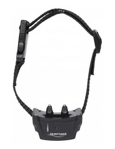 Collier supplémentaire pour Canifugue 2015 clôture invisible