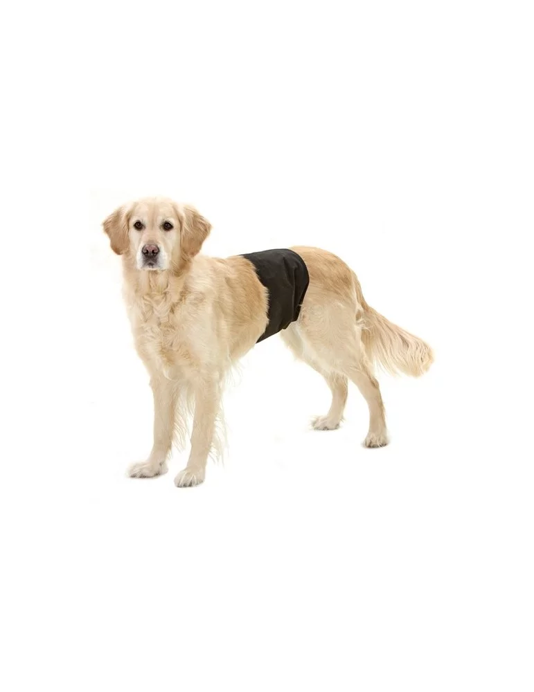 Gentleman Panty pour chien