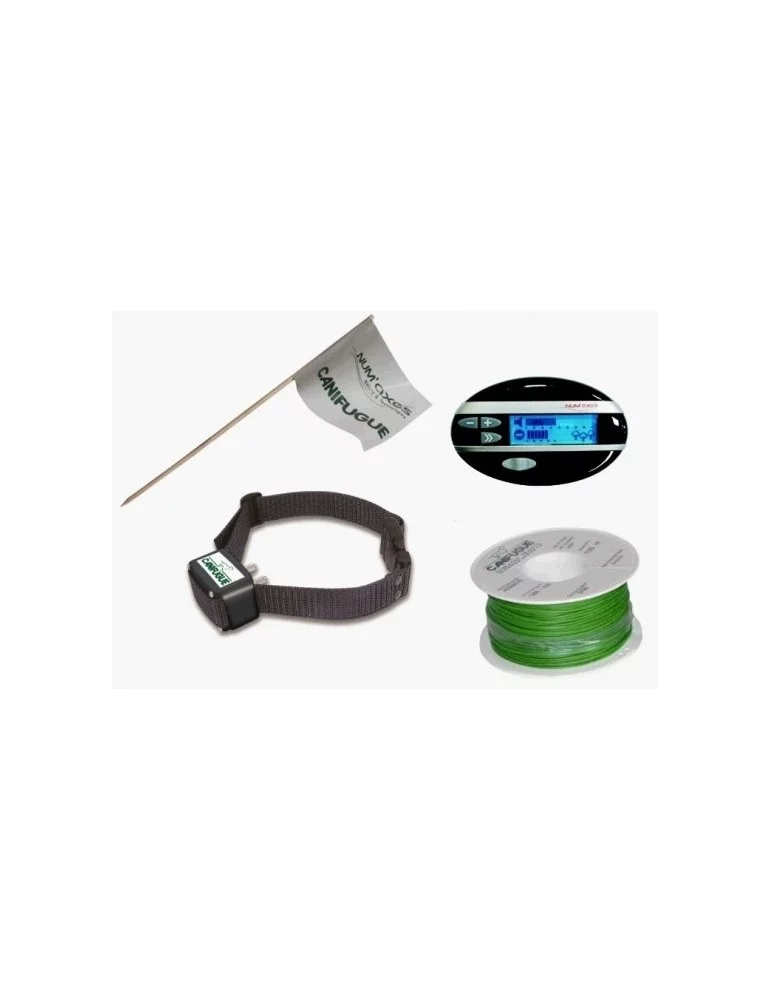 Clotûre invisible Canifugue Mix FUG1031 pack avec un collier