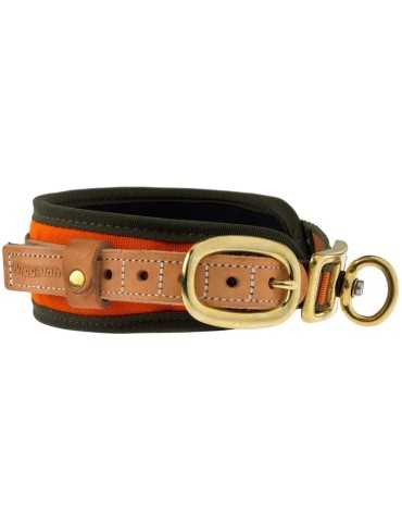 Collier chien de sang Niggeloh orange fluo