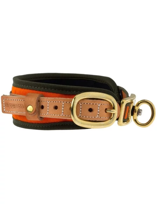 Collier chien de sang Niggeloh orange fluo