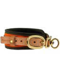 Collier chien de sang Niggeloh orange fluo