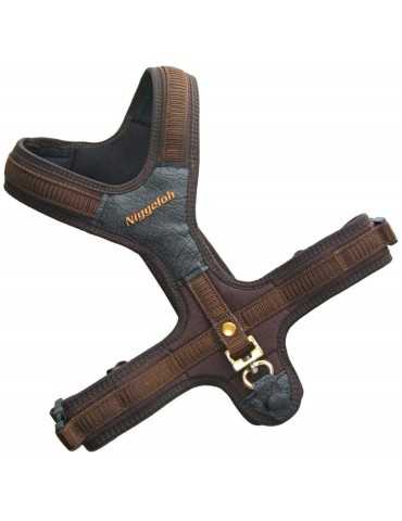 Harnais néoprène marron