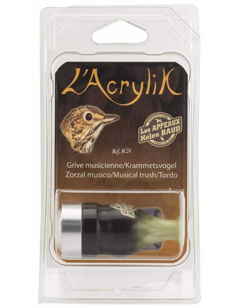 Appeau grive musicienne Helen Baud