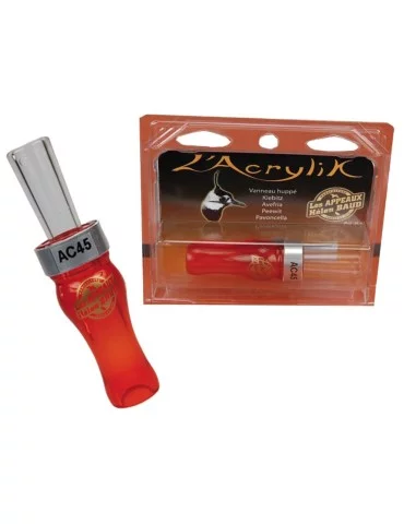 Appeau acrylik vanneau Hélen Baud 2