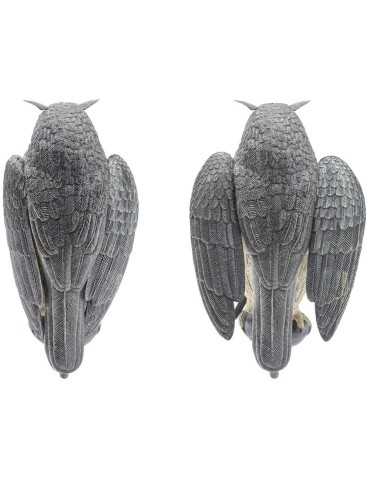 Appelant Grand Duc ailes battantes 2