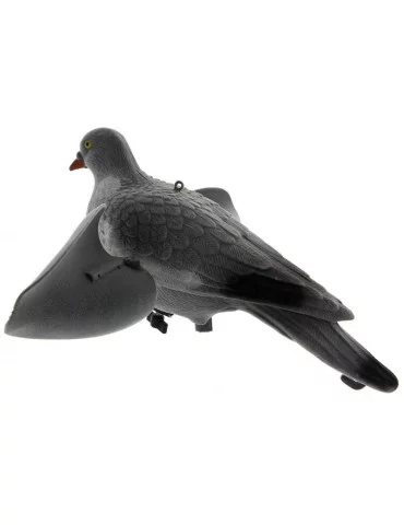 Appelant pigeon ailes tournantes 2