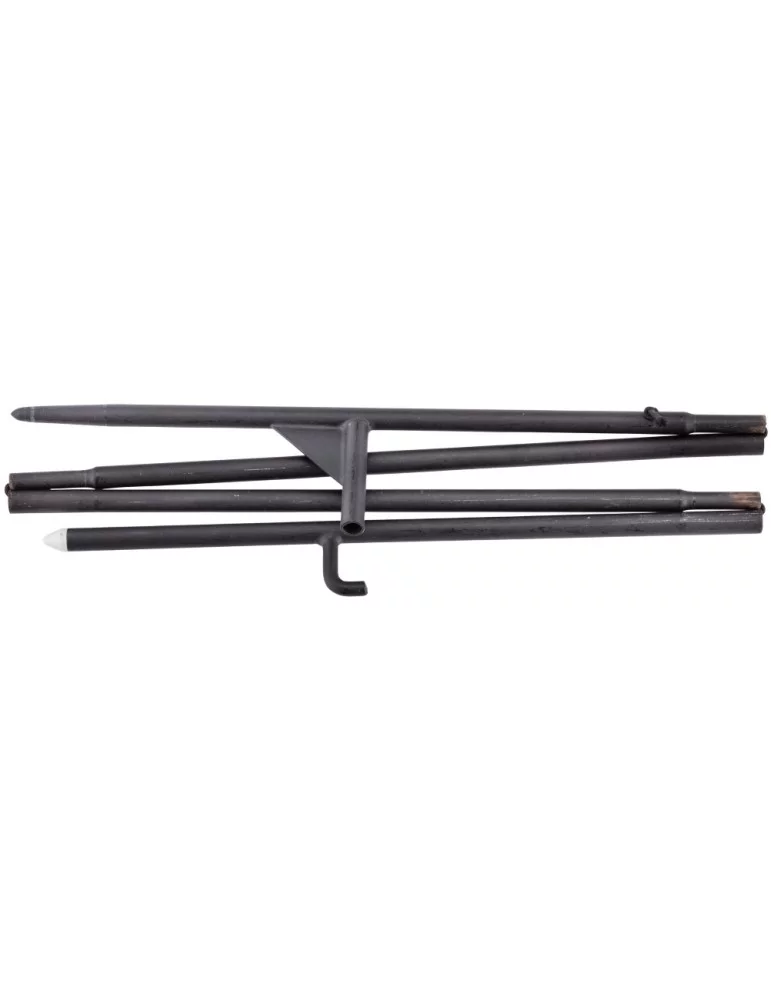 Appelant tourterelles ailes tournantes