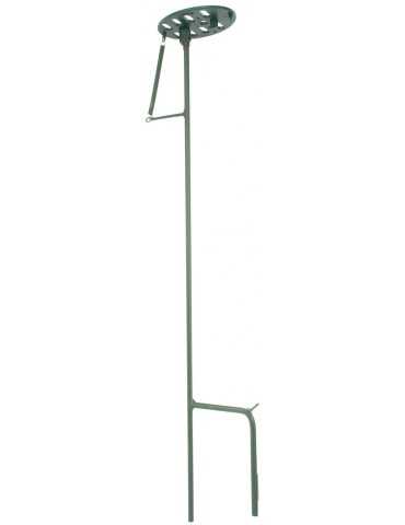 Palette pour pigeon