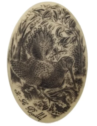 Calotte bécasse aspect ivoire ou argent 2