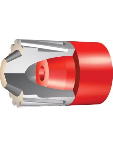 Winchester Deer Season C.12/70 cartouche à balle* 2