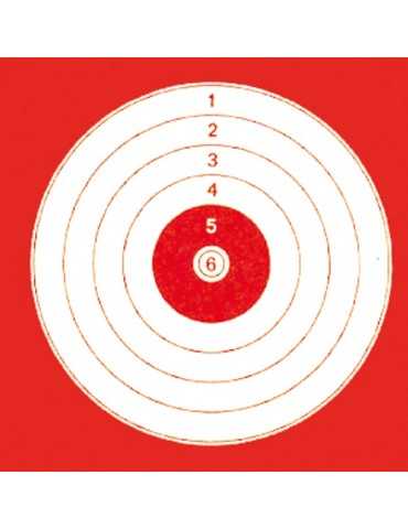 100 cibles cartons 14 x 14 cm