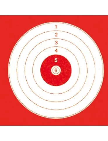 100 cibles cartons 14 x 14 cm