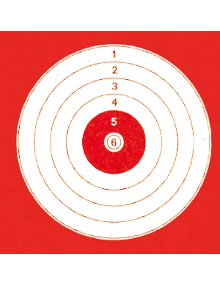 100 cibles cartons 14 x 14 cm