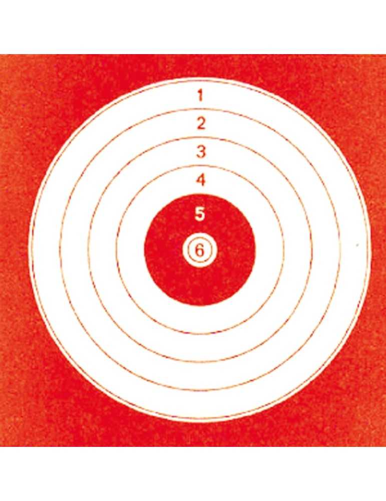 1000 cibles cartonnées loisirs 14 x 14 cm