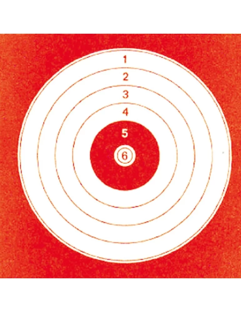 1000 cibles cartonnées loisirs 14 x 14 cm