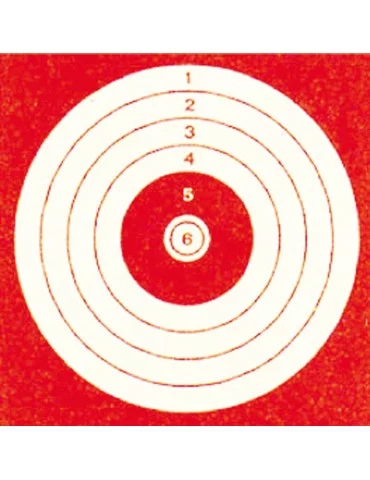 1000 cibles cartonnées loisirs 10 x 10 cm