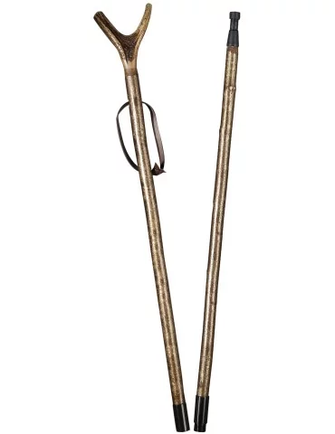 Canne de pirsch Gastrock