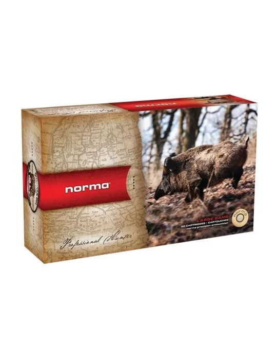 Norma .30-06 Oryx 180 gr