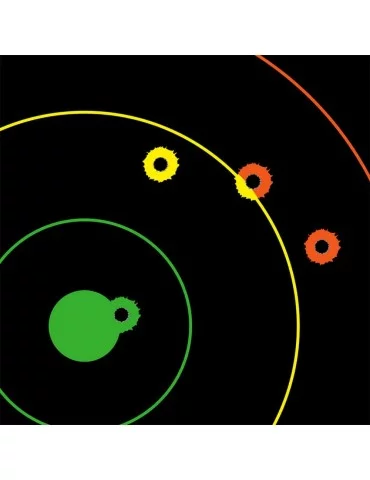 Cible Dirty birds multicolores Birchwood Casey 2