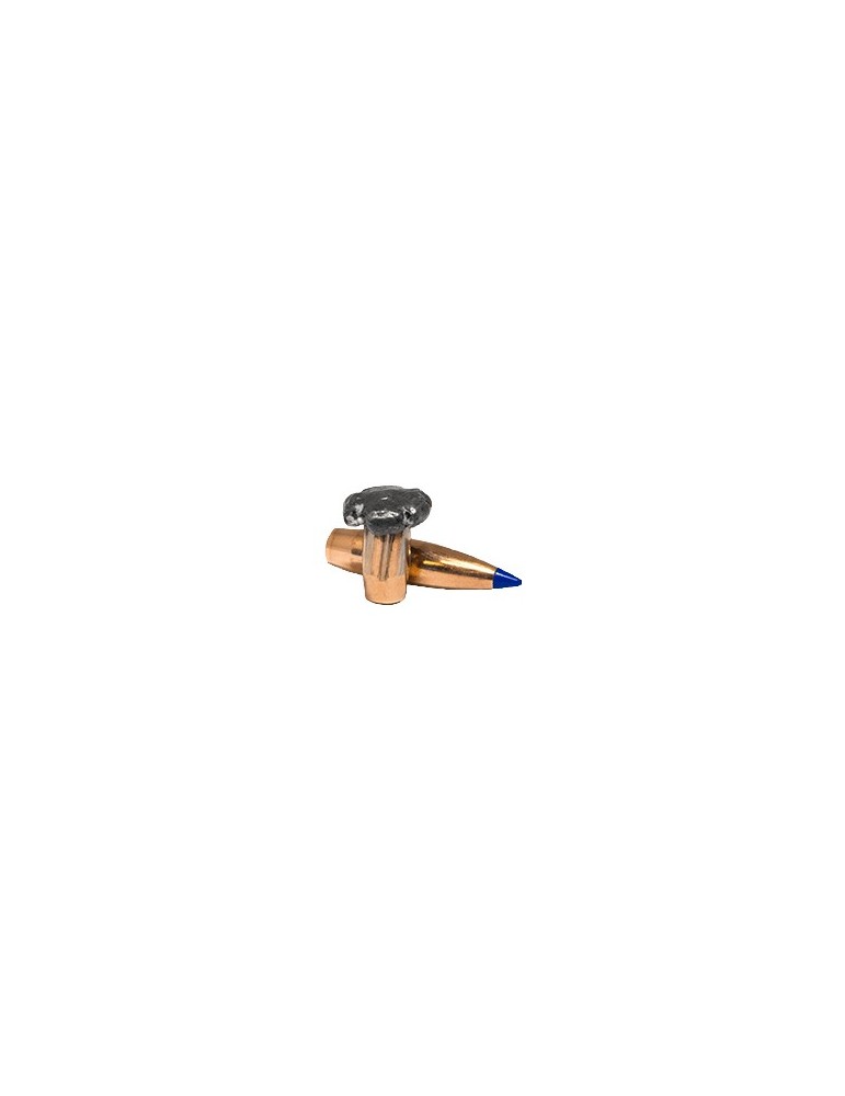 Norma .300 Win. Mag. Bondstrike 180 gr