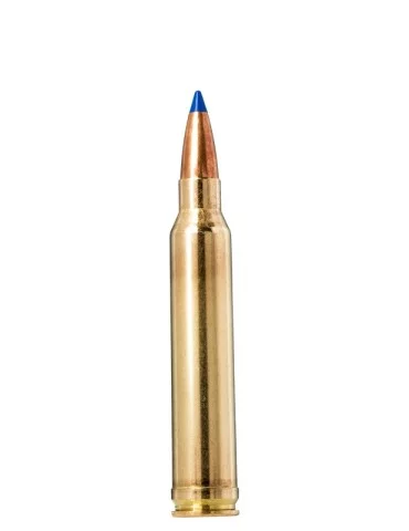 Norma .300 Win. Mag. Bondstrike 180 gr 2