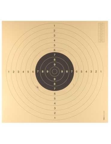 100 cartons-cibles C50 55 x 53 cm avec encoches