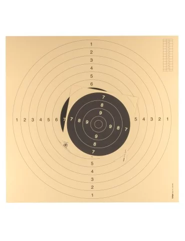 100 cartons-cibles C50 55 x 53 cm avec encoches 2