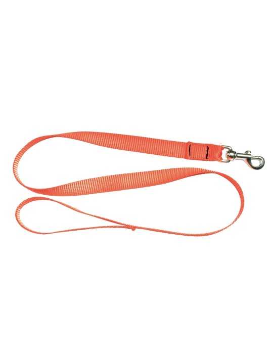 Laisse 1,20 m sangle orange fluo pour chien - Country