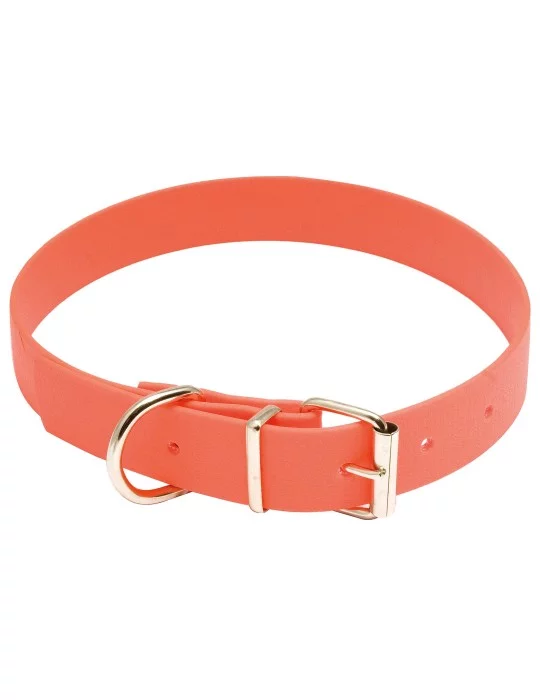 Collier pour chien Biothane orange fluo - Country