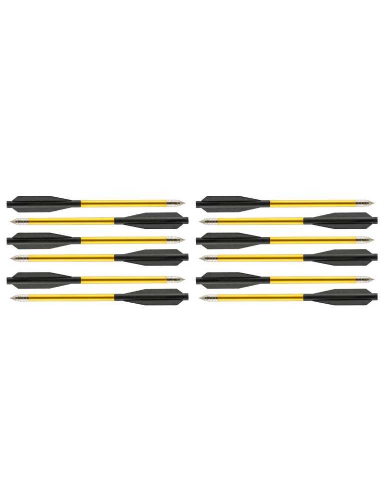 12 Fléchettes 6.5’’ pour pistolets arbalète Shoot Again - Natusport